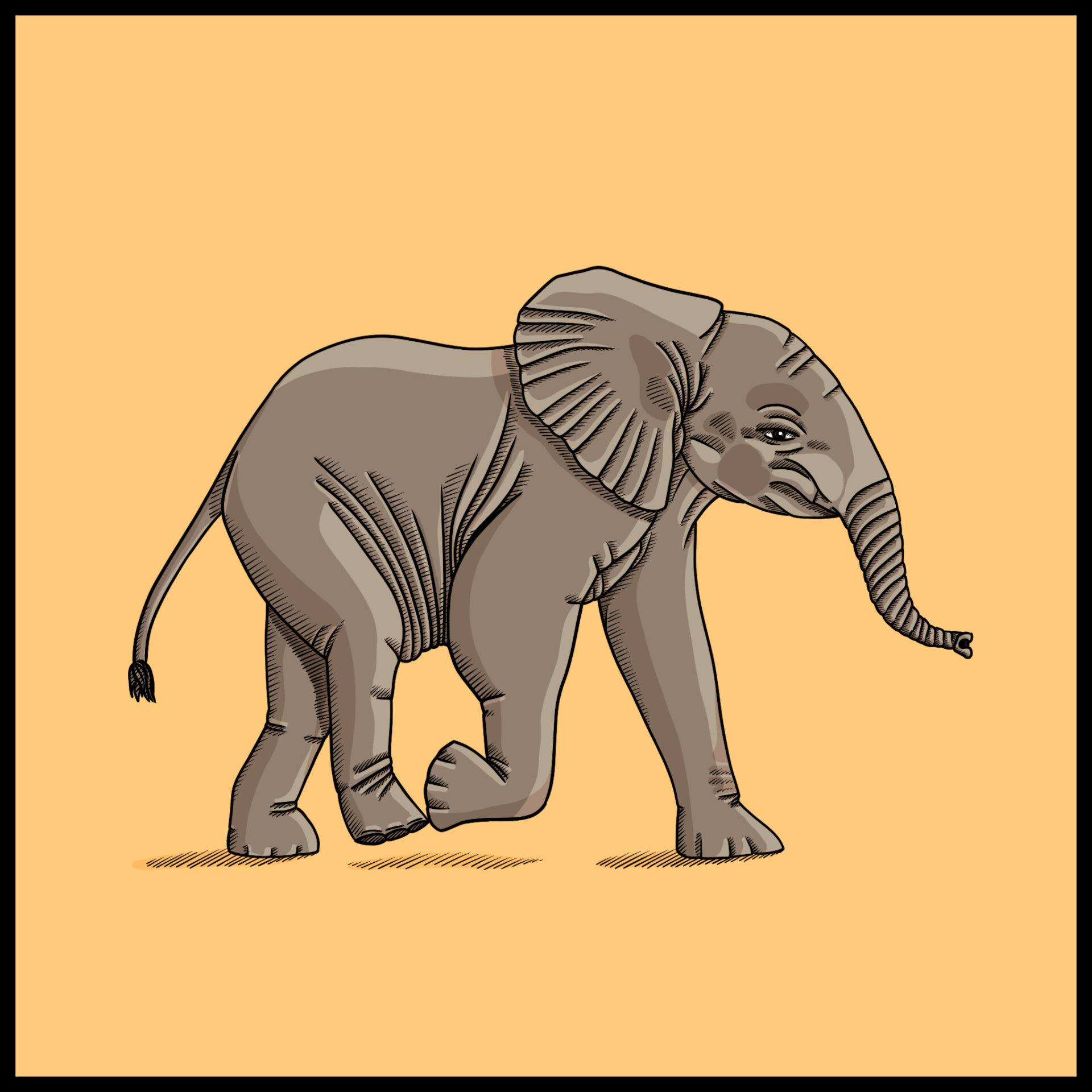 Elephant